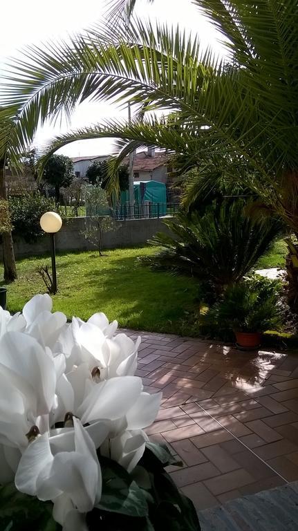B&B La Cascina Concordia Sagittaria Luaran gambar